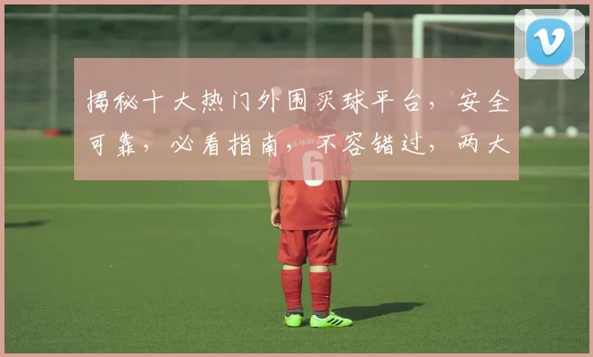 揭秘十大热门外围买球平台，安全可靠，必看指南，不容错过，两大平台推荐
