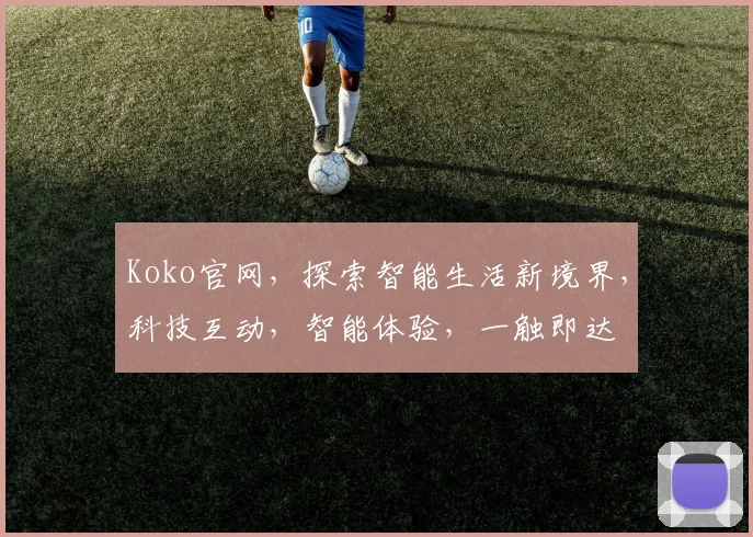 Koko官网，探索智能生活新境界，科技互动，智能体验，一触即达