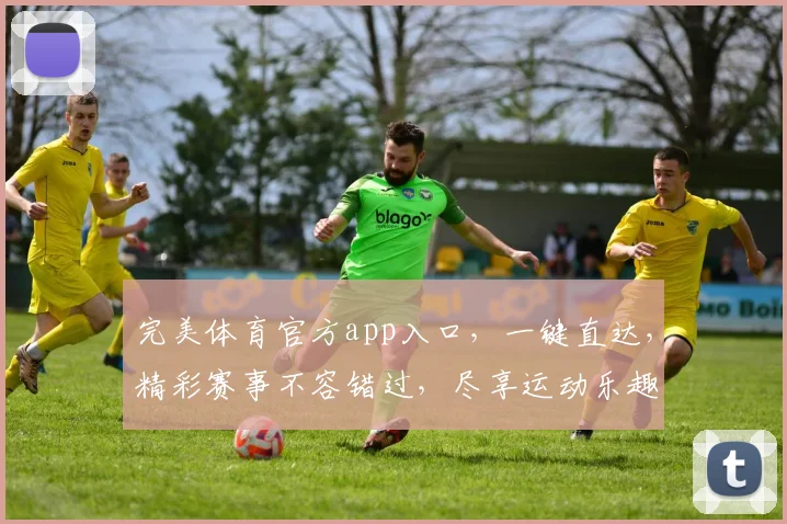 完美体育官方app入口，一键直达，精彩赛事不容错过，尽享运动乐趣，快来体验