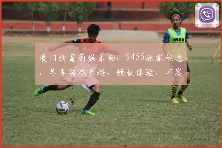 澳门新葡萄娱乐场，9455独家优惠，尽享游戏乐趣，畅快体验，不容错过